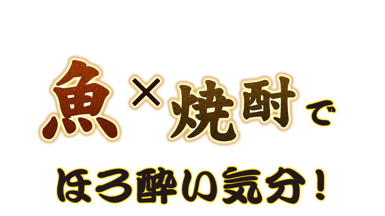 魚×焼酎でほろ酔い気分