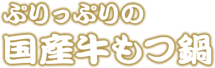 ぷりっぷりの国産牛もつ鍋