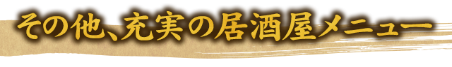 その他、充実の居酒屋メニュー