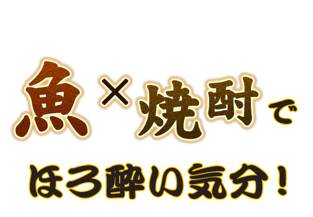 魚×焼酎でほろ酔い気分