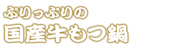 ぷりっぷりの国産牛もつ鍋