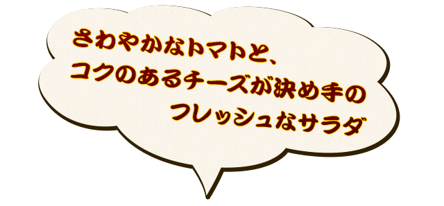 さわやかなトマトと、コクのあるチーズが決め手のフレッシュなサラダ